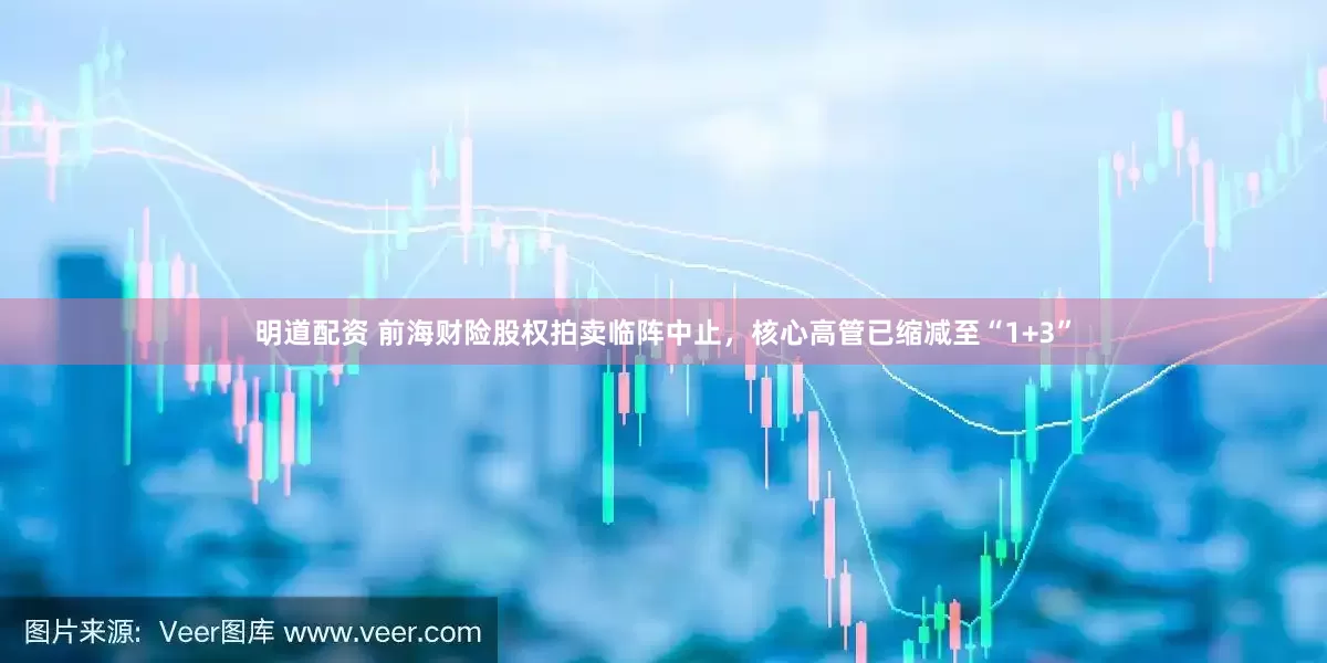 明道配资 前海财险股权拍卖临阵中止，核心高管已缩减至“1+3”
