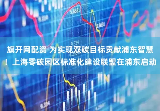 旗开网配资 为实现双碳目标贡献浦东智慧！上海零碳园区标准化建设联盟在浦东启动