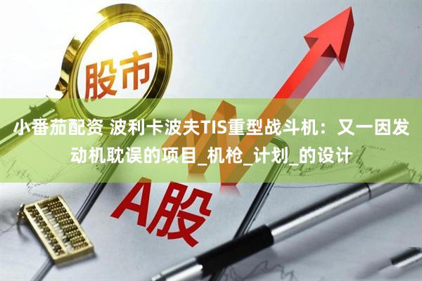 小番茄配资 波利卡波夫TIS重型战斗机：又一因发动机耽误的项目_机枪_计划_的设计