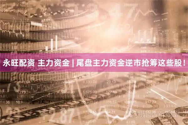 永旺配资 主力资金 | 尾盘主力资金逆市抢筹这些股！