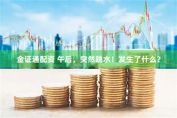金证通配资 午后，突然跳水！发生了什么？