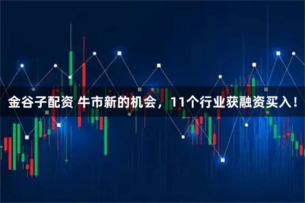 金谷子配资 牛市新的机会，11个行业获融资买入！