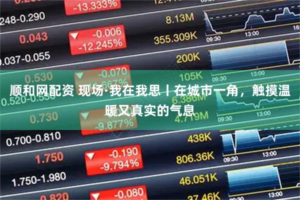 顺和网配资 现场·我在我思丨在城市一角，触摸温暖又真实的气息